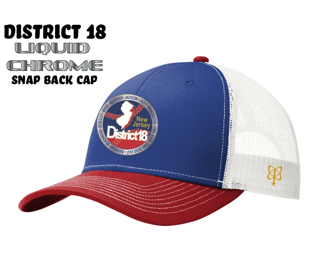 DISTRICT 18 LIQUID CHROME TRUCKER CAP by PACER